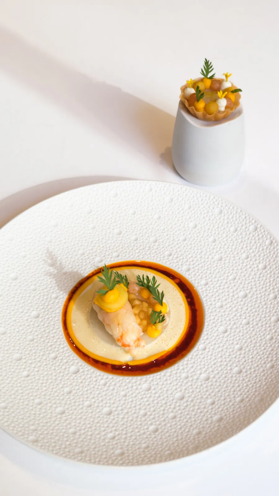 Dish presentation