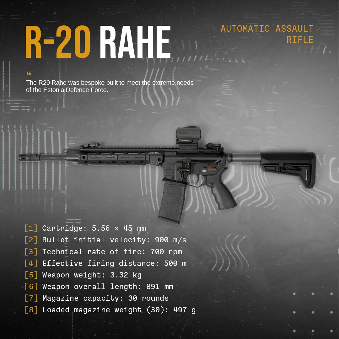 Service Rifle Overview