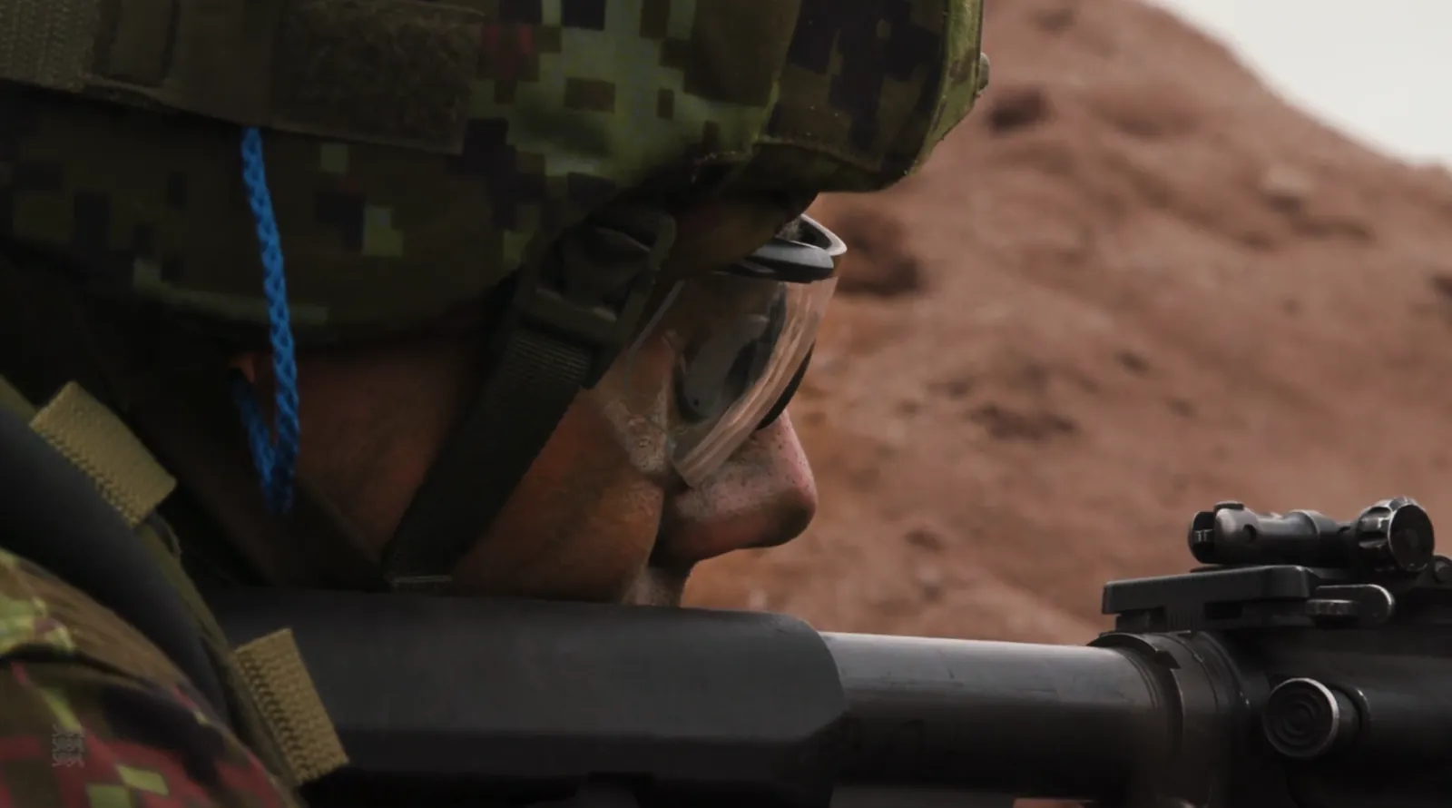 Estonian Defence Sector